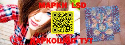 МДПВ Кингисепп