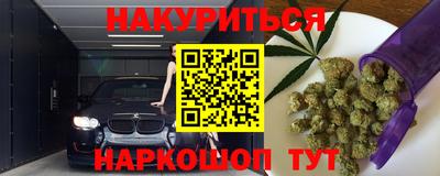 МДПВ Кингисепп