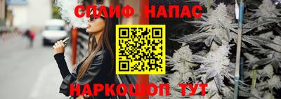 МДПВ Кингисепп
