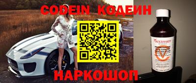 МДПВ Кингисепп