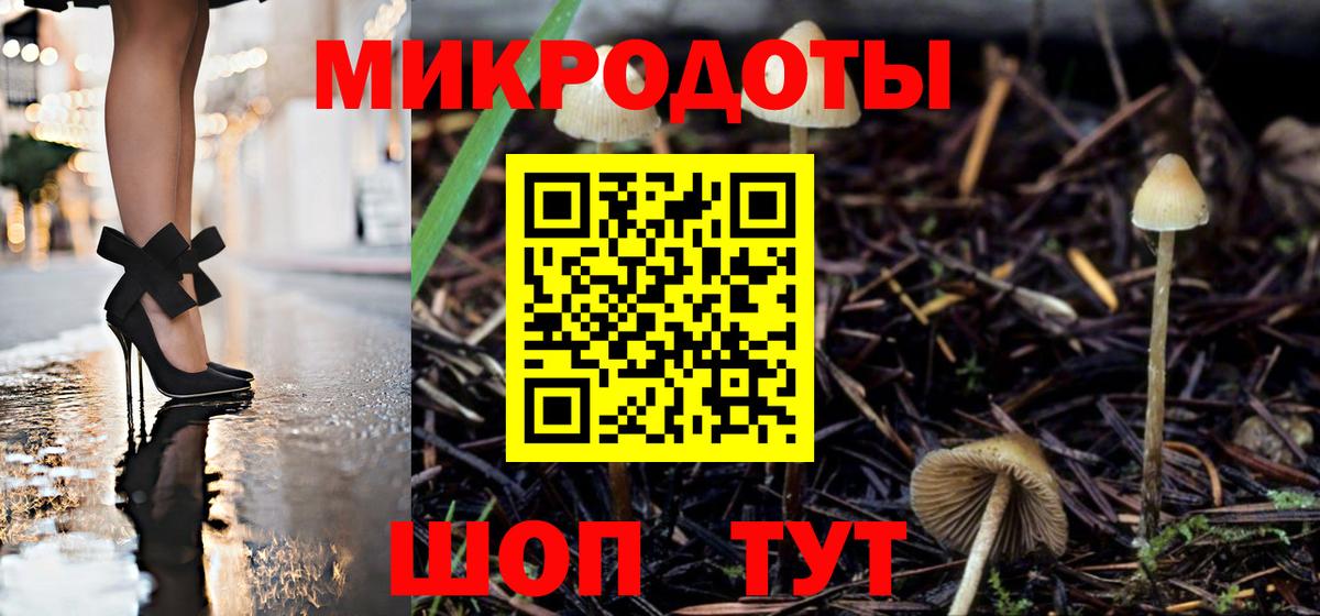 Псилоцибиновые грибы Cubensis  Вход с VPN  Лениногорск 
